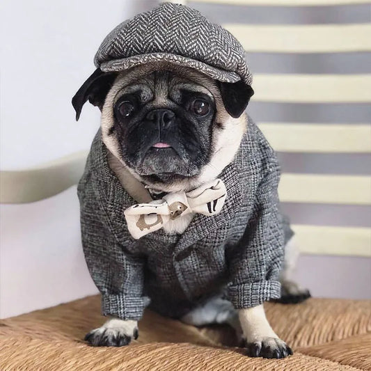 Formal Dog Clothes