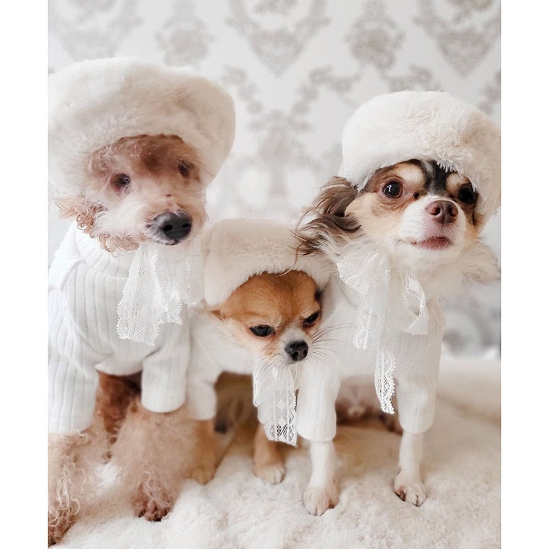 Beret Winter Pet Hat