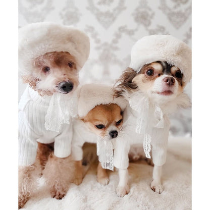 Beret Winter Pet Hat