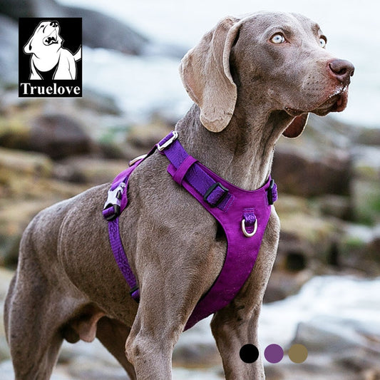 Waterproof Lightweight Durable Nylon Dog Harness