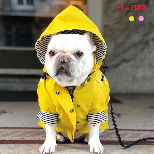 Waterproof Jacket Raincoat Hoodies