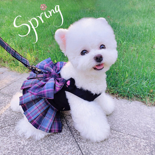 Spring Dog Dress With Harness And Leash