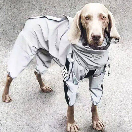 Full Body Reflective Dog Raincoat